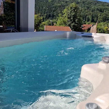 La Lanterne Location Pmr Vosges Avec Spa, Jacuzzi, Vue Montagne, 6 Pers Hébergement de vacances